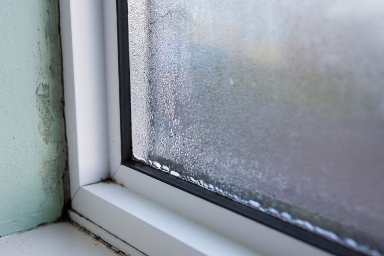 Window Condensation Explained - Wesenberg Homes